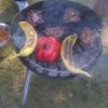 2015-08_heidberg-grillen